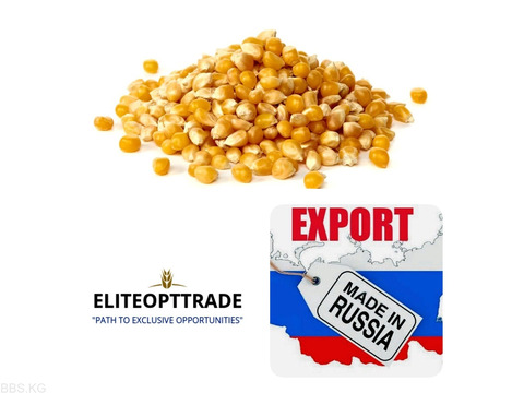 Кукуруза фуражная/Экспорт
