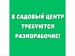 Требуются разнорабочие в садовый центр!