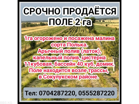 Срочно продается Поле 2га. Сокулукский район