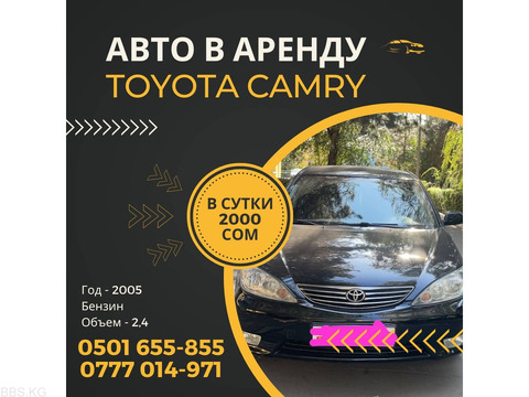 Сдаю авто в аренду! Toyota Camry, 2005 года