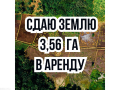 Сдаю землю 3,56 ГА в аренду, Маевка, трасса Объездная, б/п - 1/1