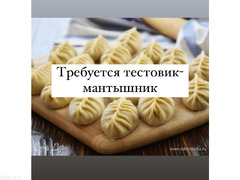 Требуется в кафе тестовик-мантышник - 1/1