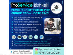 ProService Bishkek -ремонт электротехники любой сложности 24/7 ! - 1/1