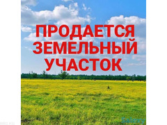 Продам земельный участок сельскохозяйственного назначения. - 1/1