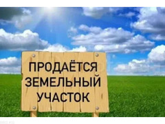 Продам земельный участок сельскохозяйственного назначения. - 1/1