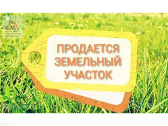 Продам земельный участок сельскохозяйственного назначения.