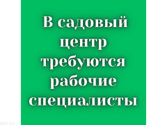 В садовый центр требуются рабочие специалисты! - 1/1