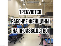 Требуются рабочие женщины на производство!