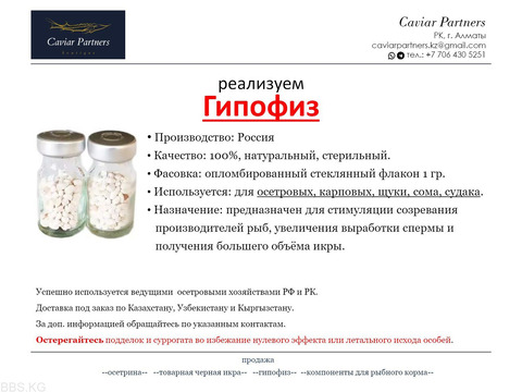 Гипофиз