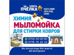Мыломойка для стирки ковров. Химия