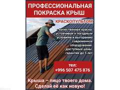 Профессиональная покраска крыш краскопультом в Бишкеке и области