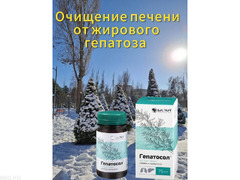 Продукция компании Биолит Россия на основе трав горного Алтая. - 3/9