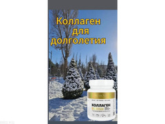 Продукция компании Биолит Россия на основе трав горного Алтая. - 5/9