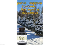 Продукция компании Биолит Россия на основе трав горного Алтая. - 7/9
