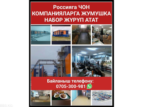 Россияга чоң компанияларга жумушка набор жүрүп атат