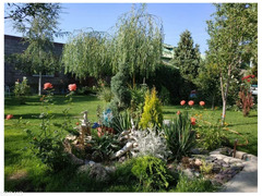 Пансионат "Ковчег семьи". Иссык-Куль, Чолпон Ата - 9/10
