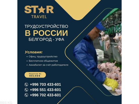 Трудоустройство в России — Белгород и Уфа!  Идёт набор сотрудников на птицефабрики