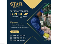 Трудоустройство в России — Белгород и Уфа!  Идёт набор сотрудников на птицефабрики