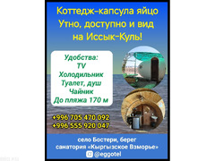 Коттедж-капсула яйцо. Отдых на Иссык-Куле, село Бостери